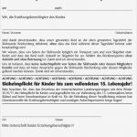 Haftungsausschluss Vorlage Pdf Schönste Ungewöhnlich Haftungsausschluss Fotos Bilder Für Das