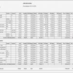 Hardware Inventarisierung Excel Vorlage Schönste Erfreut Puter Hardware Inventar Vorlage Ideen