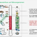 Hygieneschulung Gastronomie Vorlage Beste Unterlagen Hygieneschulung