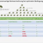 Hygieneschulung Gastronomie Vorlage Großartig Aktuell