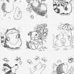 Igel Zeichnen Vorlagen Elegant Cute Digistamps Malen Pinterest