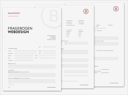 Erfreut Website Fragebogen Vorlage Zeitgenössisch Entry