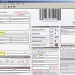 Imo Erklärung Vorlage Wunderbar Anyform Kostenlose formularvorlagen Für Zollformulare