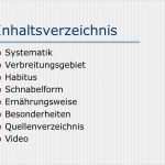 Inhaltsverzeichnis Vorlage Zum Kopieren Inspiration Spitzschnabel Grundfink Ppt Video Online Herunterladen