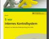 Internes Kontrollsystem Vorlage Inspiration 5 Vor Internes Kontrollsystem