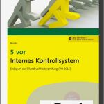 Internes Kontrollsystem Vorlage Inspiration 5 Vor Internes Kontrollsystem