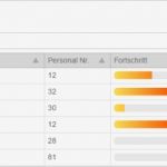 Internes Kontrollsystem Vorlage Süß atemberaubend Checkliste Für Interne Prüfungen Ideen