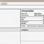 Kaninchen Zuchtbuch Vorlage Einzigartig Easybreeder Download