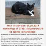 Katze Entlaufen Flyer Vorlage Cool Vermisst