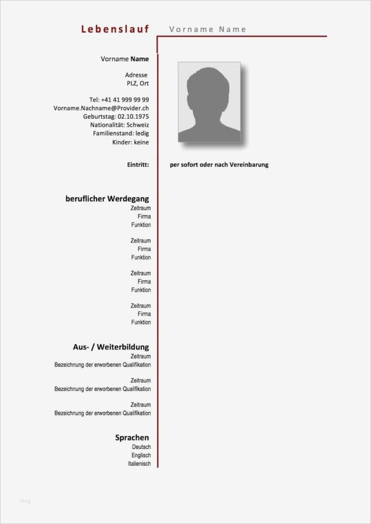 Konformitätserklärung Schweiz Vorlage Fabelhaft Lebenslauf ...