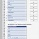 Kostenkontrolle Excel Vorlage Angenehm Haushaltsbuch Premium