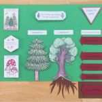 Lapbook Wald Vorlage Elegant Materialwiese Wald Lapbook Im Sachunterricht