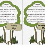 Lapbook Wald Vorlage Gut Groß Lapbook Vorlage Fotos Beispiel Anschreiben Für