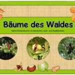 Lapbook Wald Vorlage Hübsch Wissenskartei &quot;bäume Des Waldes&quot;