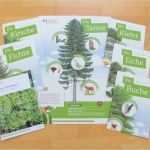 Lapbook Wald Vorlage Schönste Materialwiese Kostenlos Poster Zur Waldfibel Für