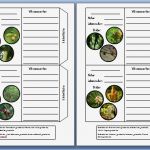 Lapbook Wald Vorlage Wunderbar Tipss Und Vorlagen Baustein B Ume Waldlapbook