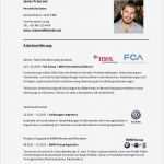 Lebenslauf Hobbies Vorlage Cool Cv Javier Franzoni Deutsch