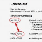 Lebenslauf Vorlage Nach Elternzeit Neu Lücken Im Lebenslauf Sinnvoll Füllen Mit Beispiel