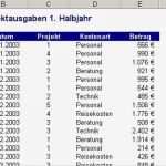 Leistungserfassung Excel Vorlage Gut Überwachen Und Steuern