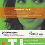 Lenkung Von Dokumenten Vorlage Cool Vorschau Pdf Verfahrensanweisung Prozessbeschreibung