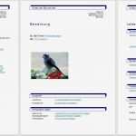 Libreoffice Vorlagen Bewerbung Erstaunlich Bewerbungsvorlagen Für Libreoffice