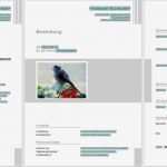 Libreoffice Vorlagen Bewerbung Fabelhaft Bewerbungsvorlagen Für Libreoffice