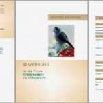 Libreoffice Vorlagen Bewerbung Großartig Bewerbungsvorlagen Für Libreoffice