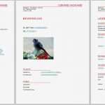 Libreoffice Vorlagen Bewerbung Neu Bewerbungsvorlagen Für Libreoffice
