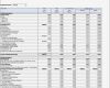 Liquiditätsplanung Excel Vorlage Gratis Einzigartig Rs Controlling System Für EÜr Inkl Liquiditätsplanung