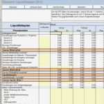 Liquiditätsplanung Excel Vorlage Gratis Hübsch Rs Controlling System Für Einnahmen Überschuss Rechnung
