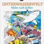 Malen Erwachsene Vorlagen Hübsch Entspannende Motive Aus Der Unterwasserwelt Malen