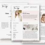 Media Kit Vorlage Kostenlos Elegant Media Kit Template 4 Page Blogger Media Kit Blog Media Press