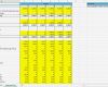 Mitgliederverwaltung Excel Vorlage Kostenlos Erstaunlich Excel Vorlage Rentabilitätsplanung Kostenlose Vorlage