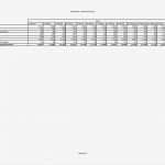 Mitgliederverwaltung Excel Vorlage Kostenlos Süß Finanzplan Vorlage Für Businessplan Excel Kostenlos