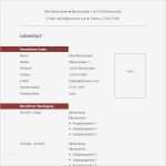 Moderne Website Vorlagen Neu Clean &amp; Modern Cv Template Schlichtes Und Modernes