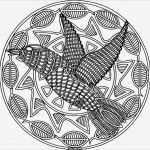 Motion Vorlagen Free Gut Coloriage A Imprimer Mandala Oiseau Gratuit Et Colorier