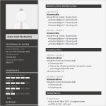 Newsletter Beispiele Vorlagen Wunderbar Modern Cv Template for Word