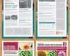 Newsletter Indesign Vorlage Erstaunlich Newsletters Pack 2 In 1 Pinterest