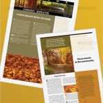 Newsletter Indesign Vorlage Genial Newsletter Templates Free Indesign