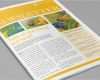 Newsletter Indesign Vorlage Gut 4 Adobe Indesign Newsletter Templates