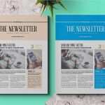 Newsletter Indesign Vorlage Süß Business Newsletter Template