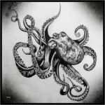 Octopus Tattoo Vorlagen Fabelhaft Gallery for Octopus Pencil Drawings