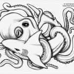 Octopus Tattoo Vorlagen Neu Shark Octopus Flash Designs Greywash Tattoos