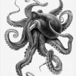 Octopus Tattoo Vorlagen Wunderbar Image Result for Octopus Tattoo Sleeve Black and White