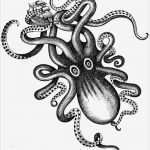 Octopus Tattoo Vorlagen Wunderbar Les Meilleurs Produits De Kraken