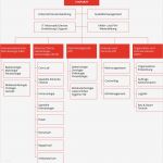 Organigramm Verein Vorlage Gut Fein organigramms Personal Zeitgenössisch Anatomie Von