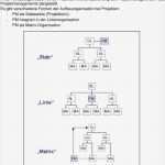 Organisationshandbuch Vorlage Word Erstaunlich Berühmt Fischgrät Diagramm Vorlage Kostenlos Bilder