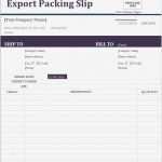 Packing List Export Vorlage Beste Export Packing List Templates