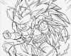 Pages Vorlagen Buch Erstaunlich Index Of Images Coloriage Dragon Ball Z