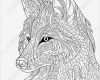 Pages Vorlagen Buch Wunderbar Wolf Adult Coloring Page Zentangle Doodle by